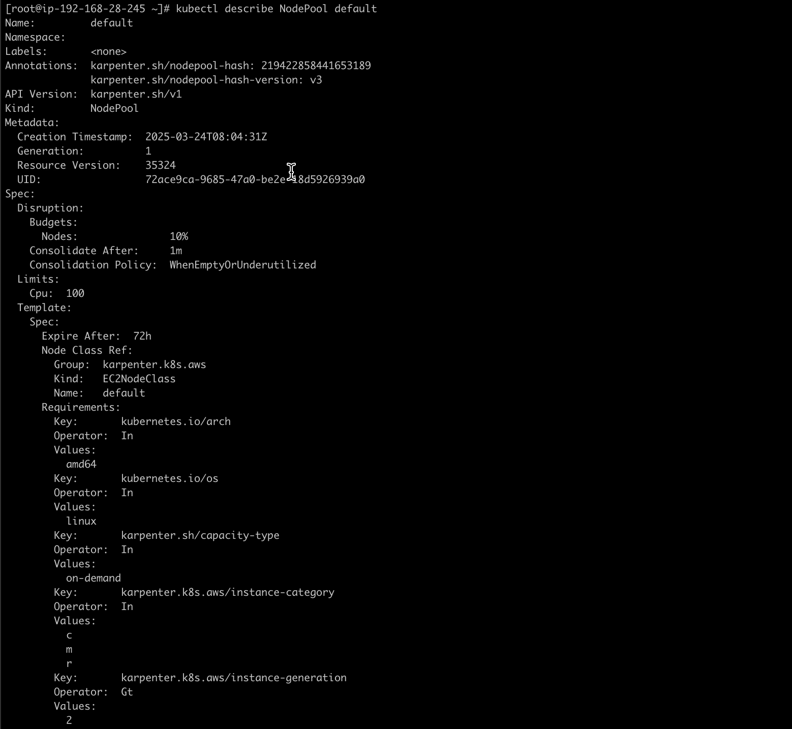 describe-the-nodepool-resource